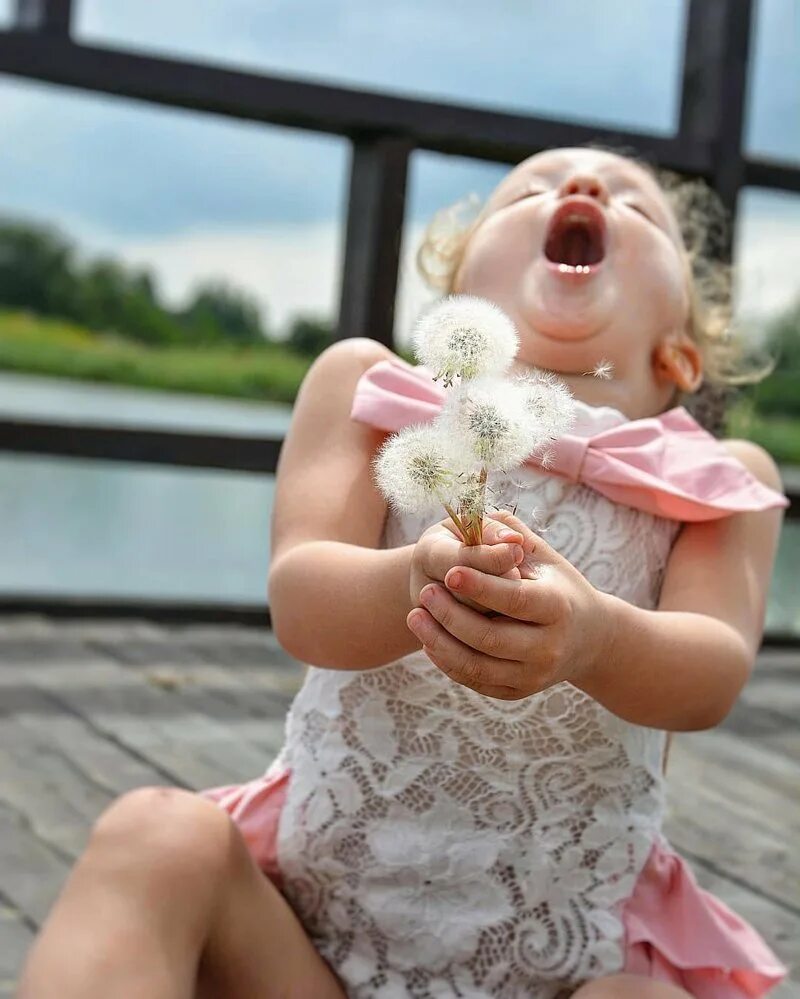 Позитивные фото для поднятия настроения. Радостные животные. Счастливые животные. Суслик с цветочком. Что нибудь хорошее веселое.