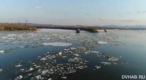 Ледоход на амуре в 2024 году
