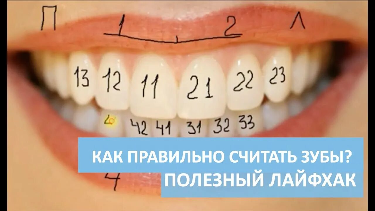 Можно считать зубы