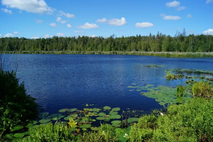 Озеро Изъяр Чувашия. Озеро Текун Нижегородская область. Озеро Кузьмияр Нижегородская область. Озеро Кузьмияр, Воротынский район. Ук озеро нижний