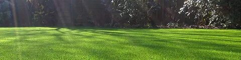 Good grass