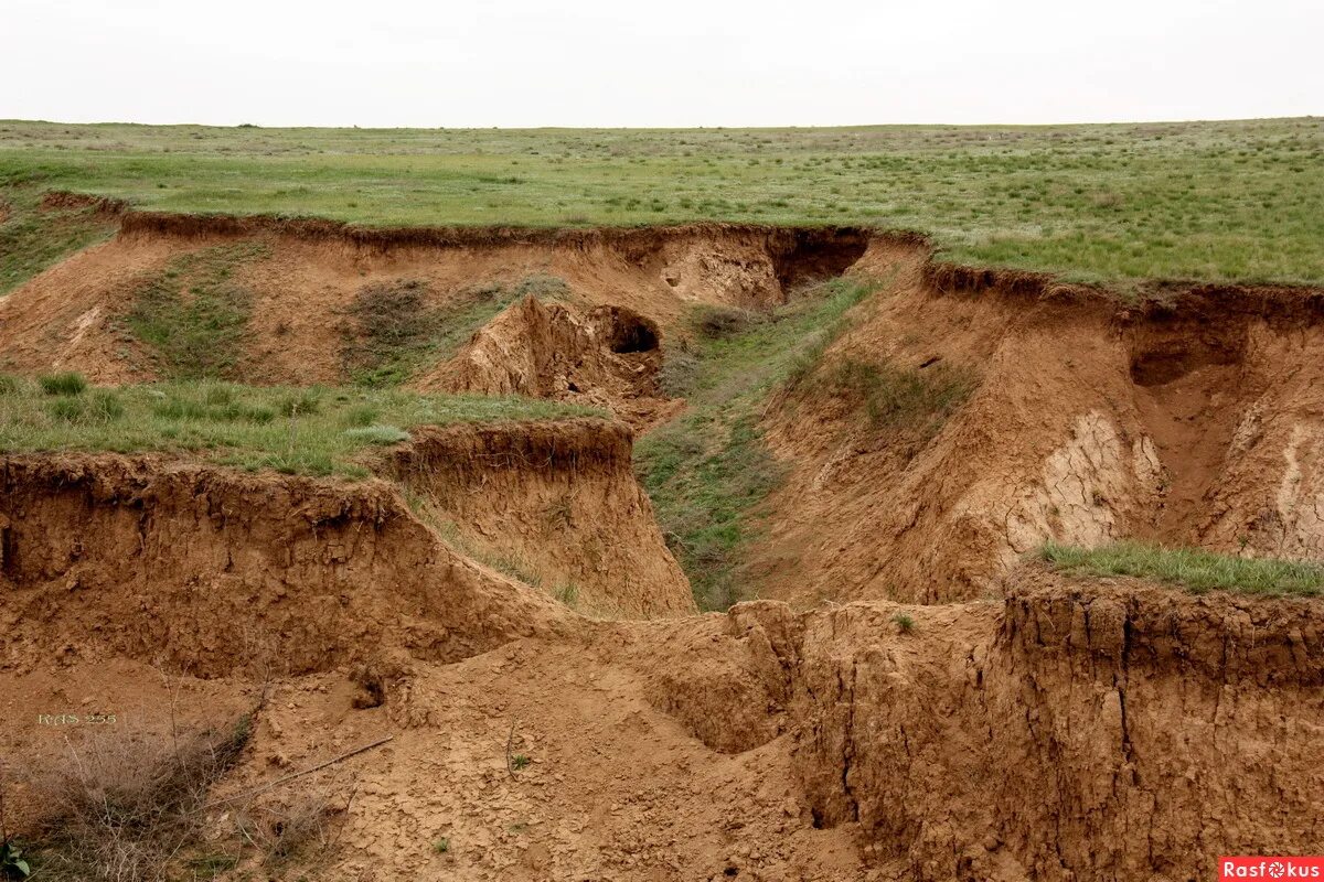 Поверхность Забайкалья холмы горы овраги. Овражная водная эрозия. Овражно-балочная эрозия. Овраги Овражная эрозия. Земляные написать