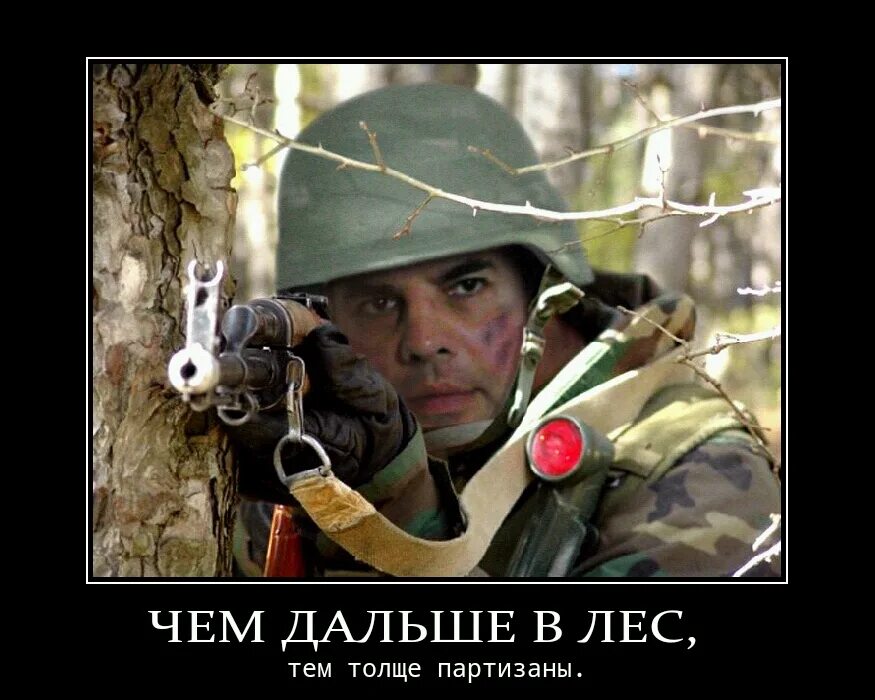 Чем дальше в лес тем толще партизаны. Чем дальше в лес тем толще партизаны