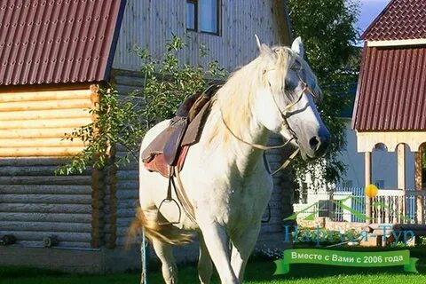 32 горки дмитров