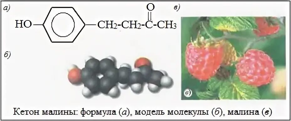 Кетоны малины отзывы