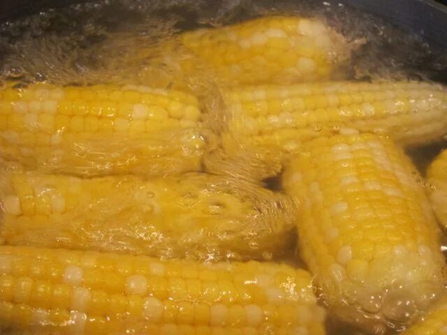 Кукуруза кормовая вареная. Перезрелая кукуруза вареная. Горячая кукуруза вареная. Замороженная кукуруза вареная.
