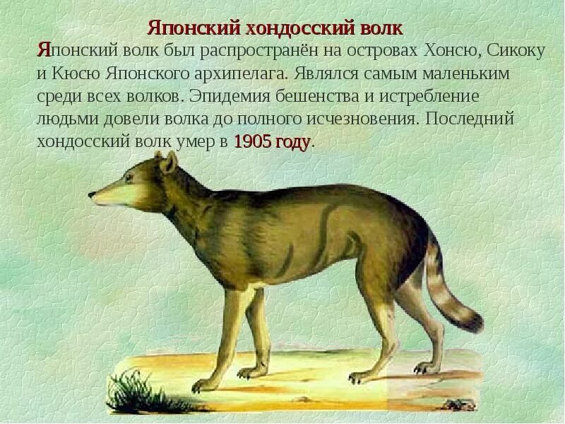 Умершие виды животных