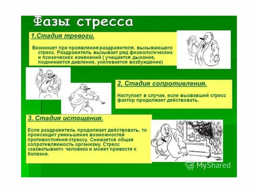 Стадия сопротивления стресса. Фазы стресса. хирургический стресс стадии. стадии стресса картинки. стадии стресса иллюстрации.