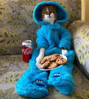 Коржик девушки