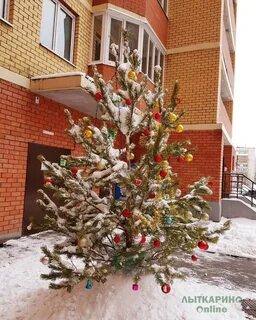 Интернет лыткарино