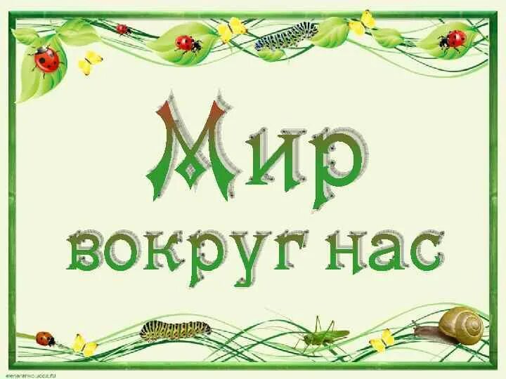 Мир вокруг нас надпись. Мир вокруг нас презентация. Надпись мир. Мир вокруг нас надпись для детей.