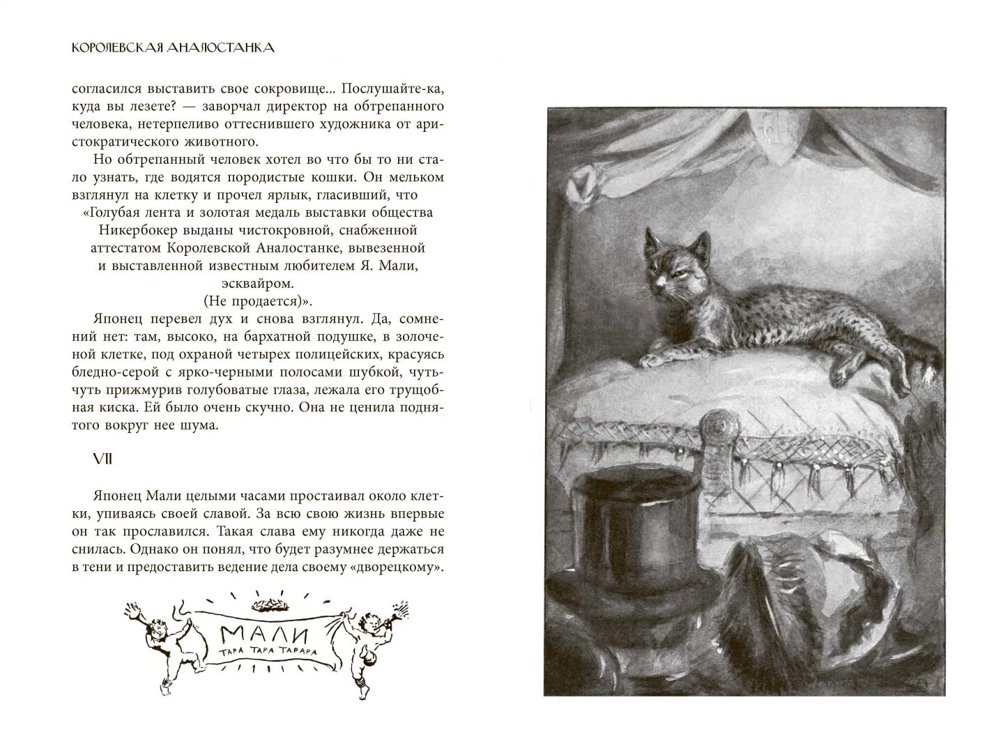 Сетон томпсон королевская кошка. Сетон томпсон королевская аналостанка. Э. Королевская аналостанка книга. Королевская аналостанка книга.