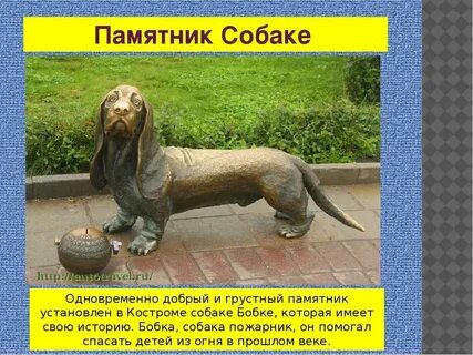 Кострома имя
