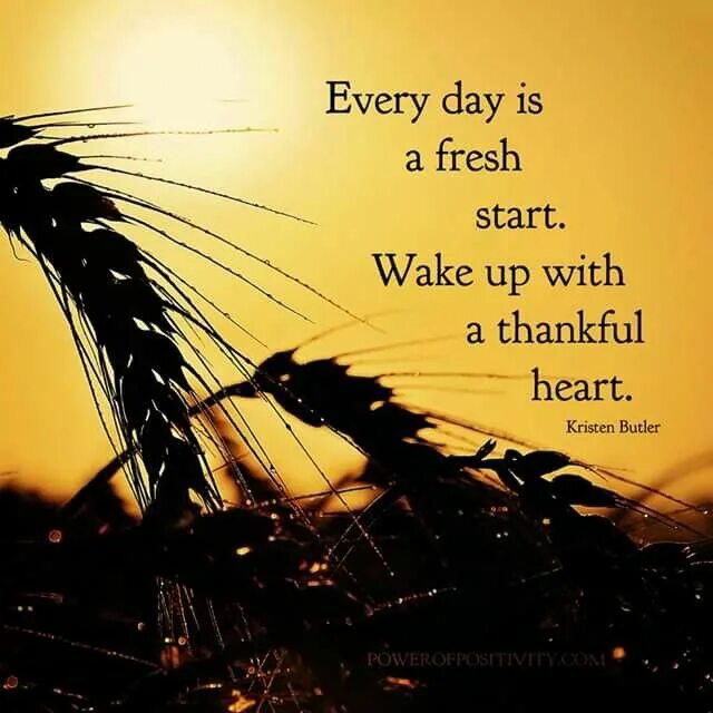Every day is a test. Fresh start. everyday is a fresh start. brighter every day стих. a fresh start you.