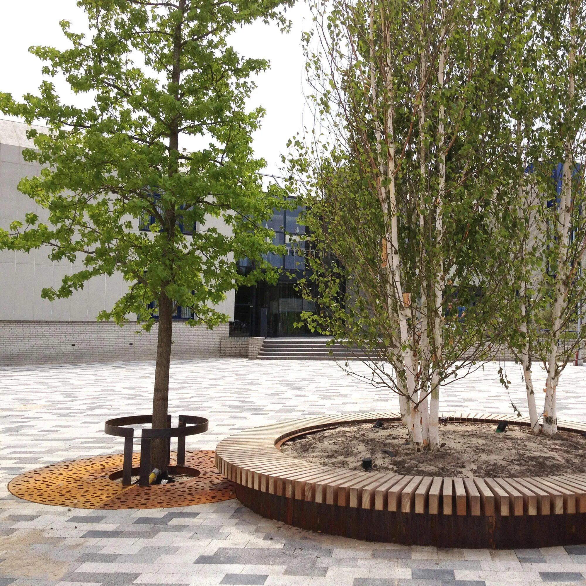 Square tree