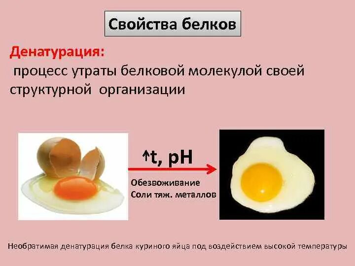 Процессы денатурации белка. Денатурация белка раствор куриного белка. Денатурация белка куриного яйца. Денатурация белка реакция куриное яйцо. Денатурация белка при нагревании наблюдение.