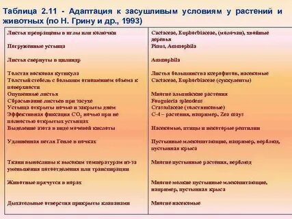 Таблица адаптации 11 класс
