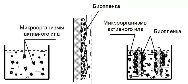 Биологический метод очистки сточных вод схема. Схема очистки воды с участием активного ила.. Очистка сточных вод активным илом схема. Биопленки для очистки сточных вод. Очистка вод илом