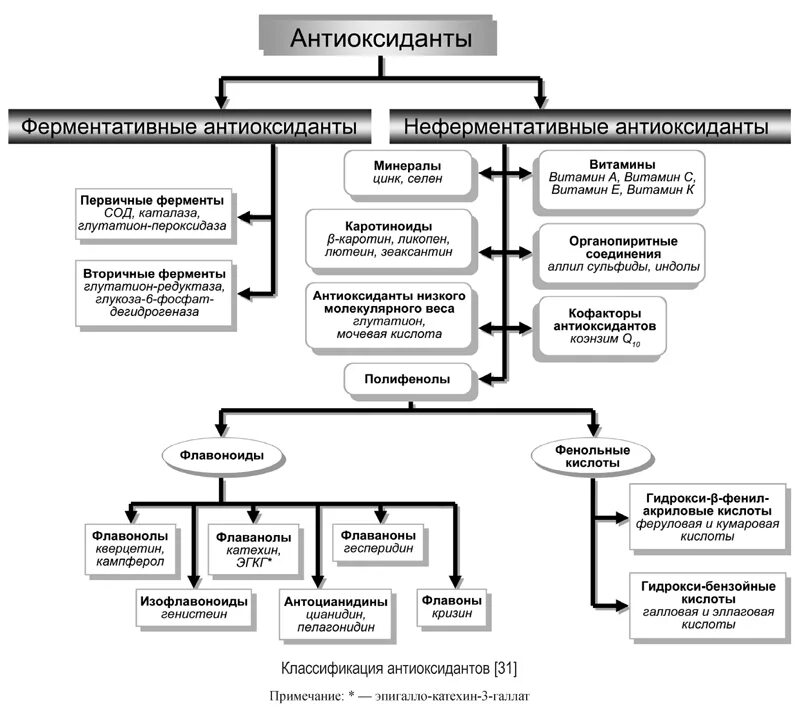 Фермент каталаза. Фермент гемоксигеназа содержит кофермент:. Ферменты антиоксиданты. Антиоксидантная защита схема. Действие антиоксидантных ферментов.