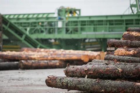 Центр восточной сибири в котором перерабатывают древесину