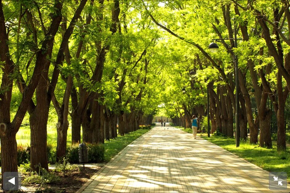 Курортный парк горячий ключ. Аллея краснодарский край. Аллея краснодарский край. Г. Аллея краснодар краснодар.