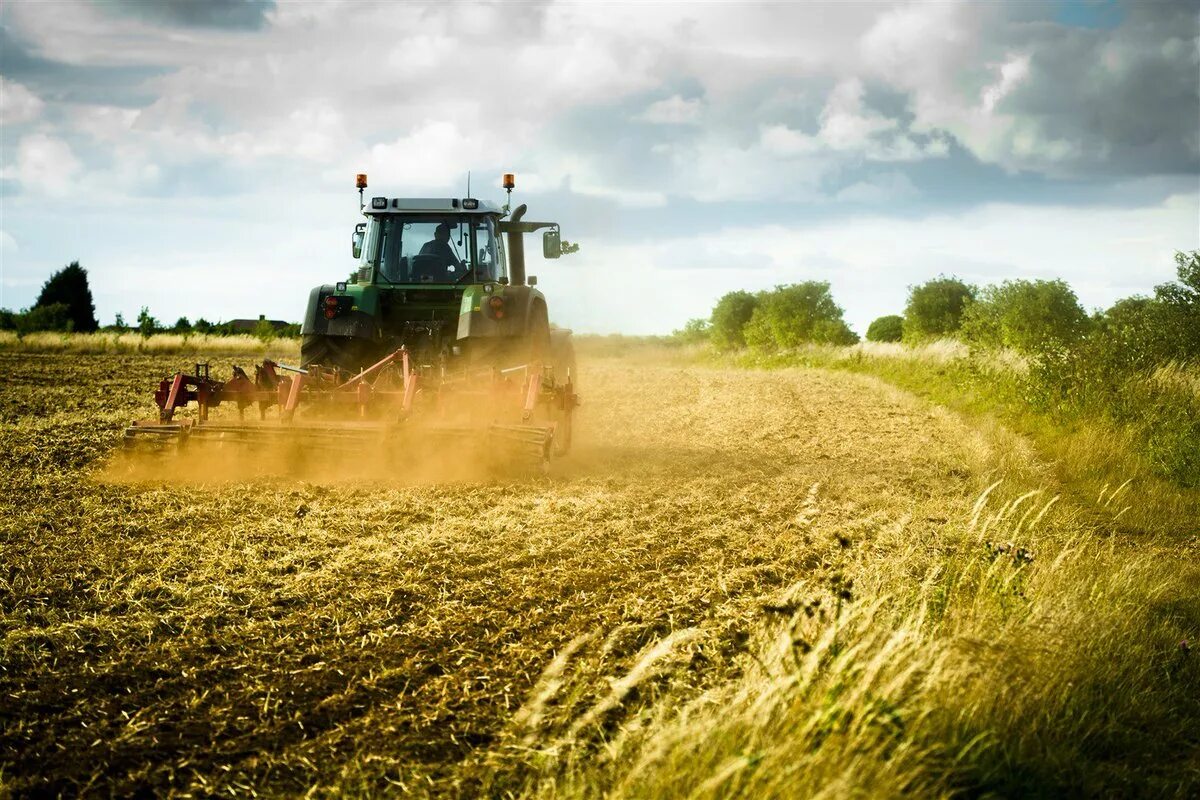 Трактор поле картинки. Сельское хозяйство юмз6поле. Пшеничное поле с трактором. Трактор в поле. Трактора на сельскохозяйственные поля.