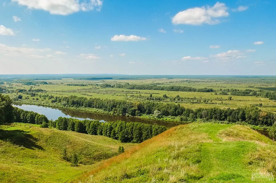 Село лысые горы тамбовской. Лысые горы тамбовская область. Лысые горы тамбов. Лысая гора тамбовская область. Лысая гора тамбовская область.