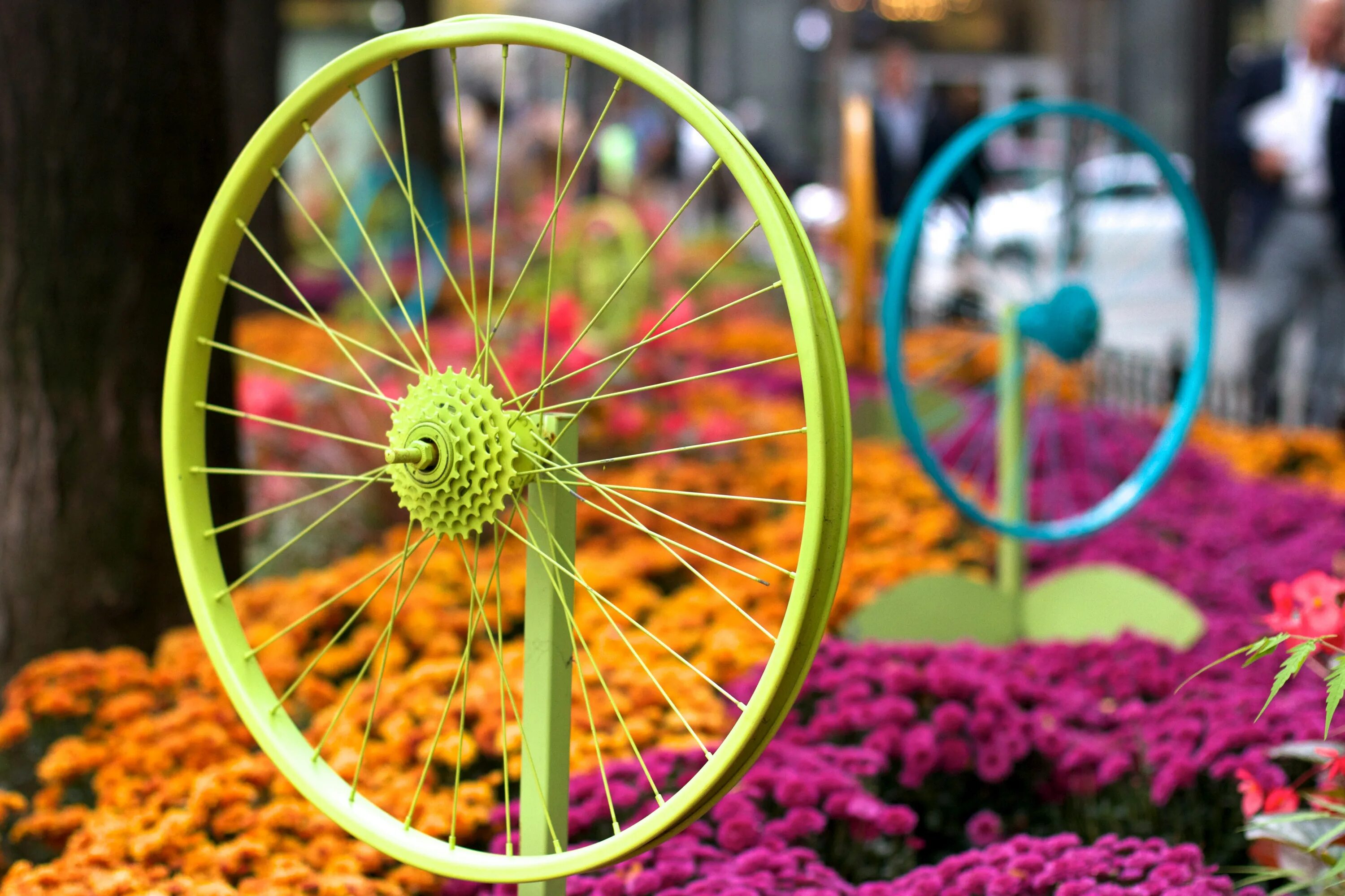 Цветы в колесе какие. Цветной велосипед. Цветы на велосипедном колесе. Разноцветный велосипед. Инсталляция велосипед с цветами.