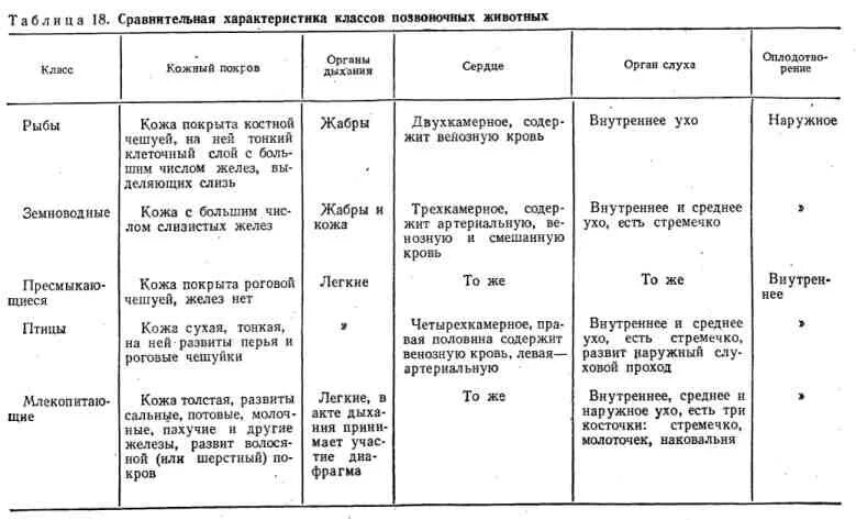 Различия классов позвоночных животных. Сравнительная характеристика класса позвоночных таблица 7 класс. Характеристика класса позвоночных животных таблица 7 класс. Сравнительная характеристика хордовых животных таблица 7 класс. Сравнительная характеристика классов позвоночных таблица 7 класс.