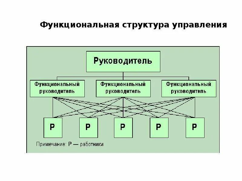 Функциональная организационная структура управления в гостинице. Функциональная структура организации схема. Функциональная структура управления схема. Линейно функциональная структура отеля. Функциональные органы учреждения