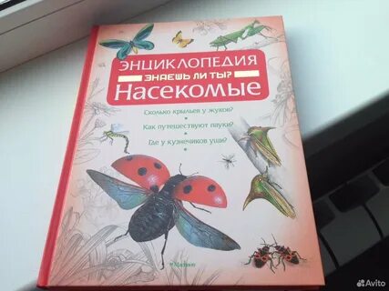 Знаешь насекомых