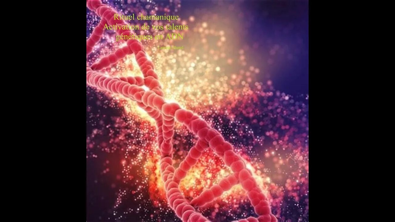 Adn 535
