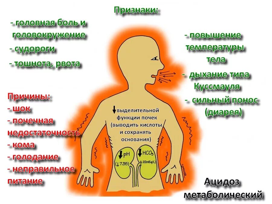 Метаболические симптомы метаболического ацидоза. Ацидоз симптомы. Проявления ацидоза. Ацидоз что это такое симптомы у взрослых. Чувство голода головокружение