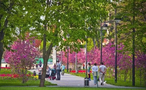 Розовый парк в краснодаре где
