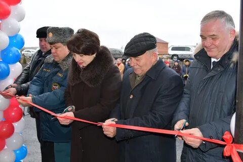 Метеонова чернянка