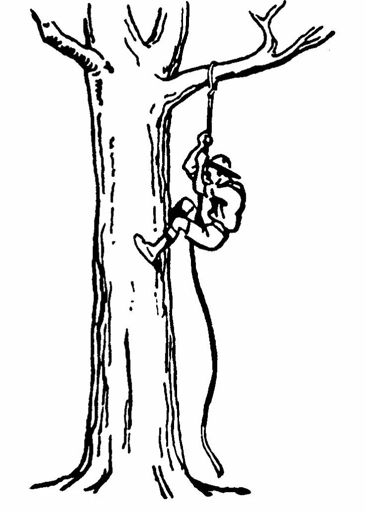 Can climb but it. Climb trees рисунок. climb a tree картинка для детей. coloring climb trees. climb trees vector.