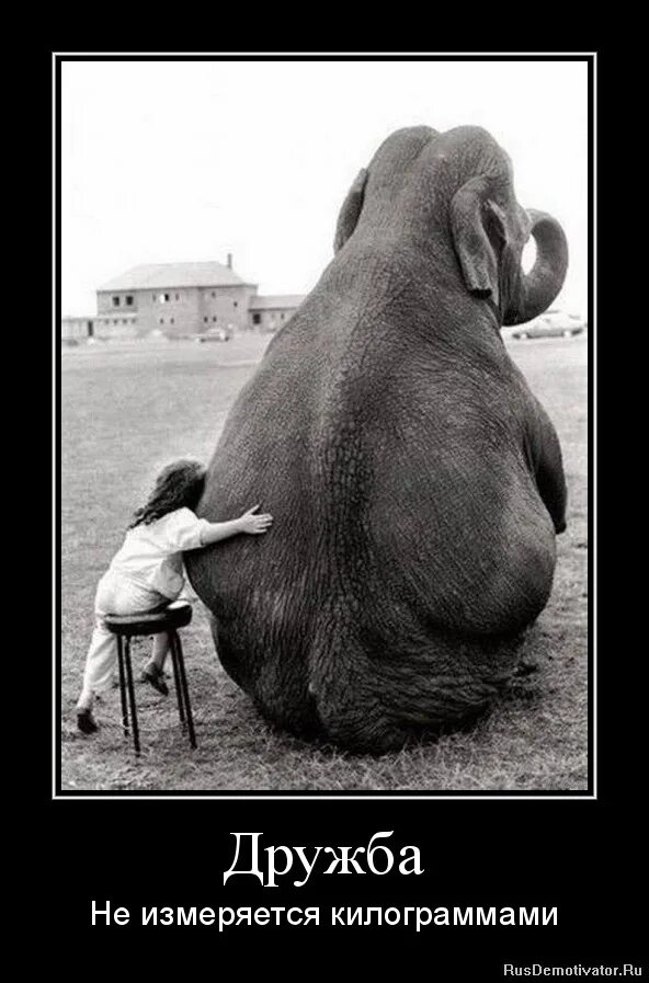 смешное про дружба. прикольные открытки. смешное про дружба. прикольные фразы про дружбу. открытки с приколами для друзей.