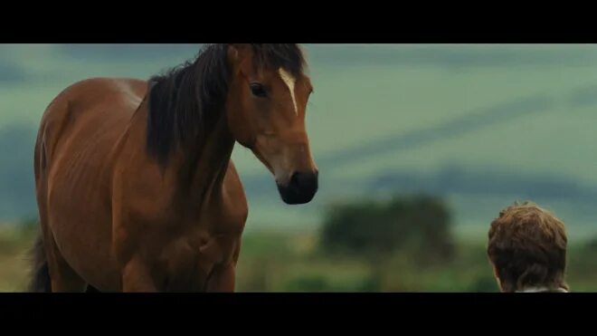 Я подозвал коня песня из фильма. Фильм пацаны про коня. Пацаны песня про коня. Черницкий ( к/ф пацаны). Пацаны песня про коня.