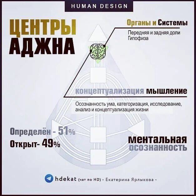 Горловой центр. Аджна центр в дизайне человека. Центры в дизайне человека.