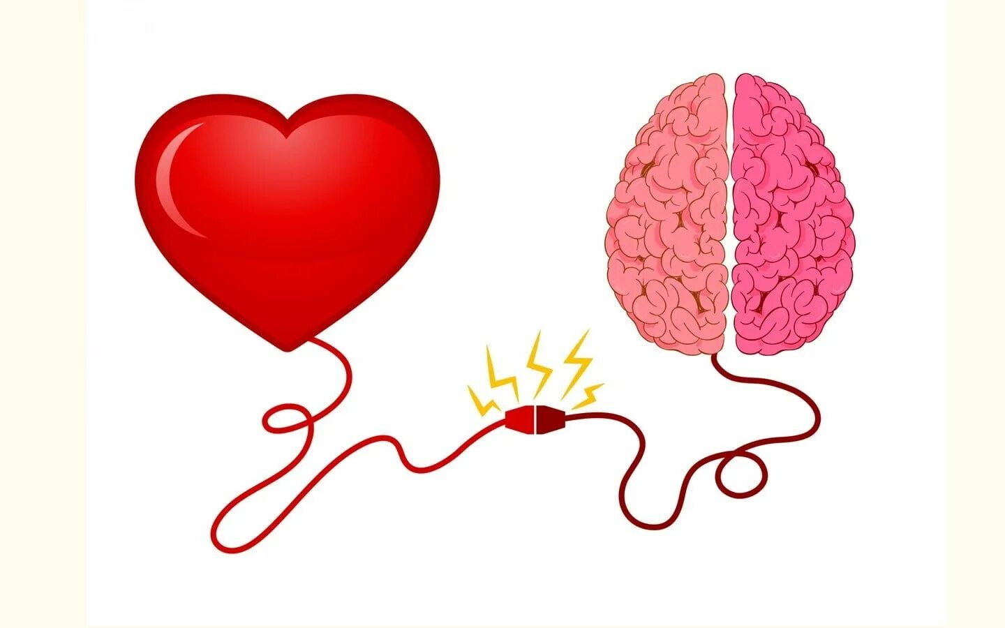 Heart and brain. Мозг и сердце. Ум и сердце. Соединение сердца и мозга. Мозг и сердце вместе.