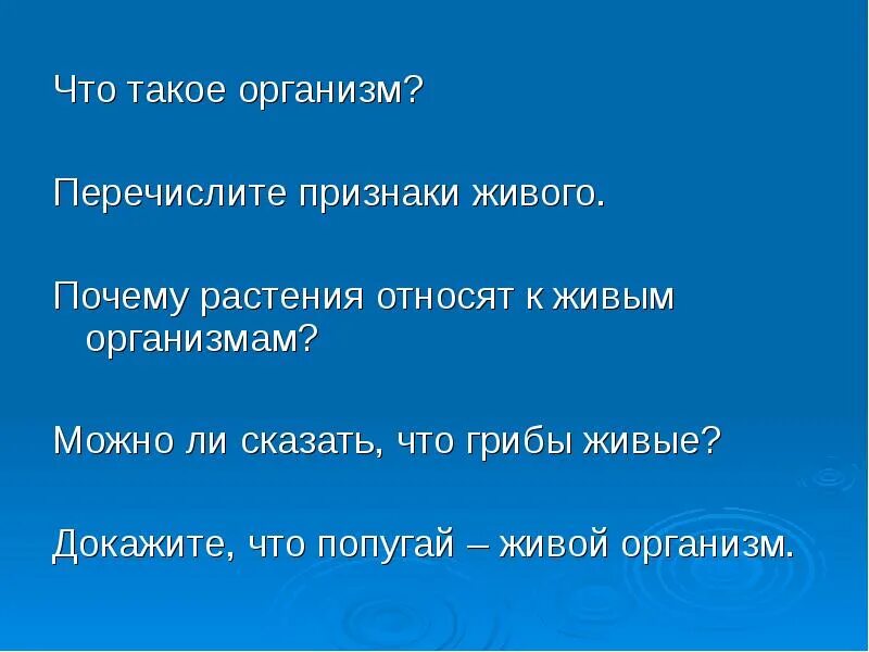 Организм как единое целое. Что такое живой организм 5 класс биология. Организм единое целое 5 класс биология. Организм определение. Кто это такие организмы.