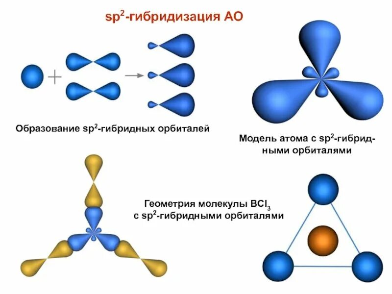Явление гибридизации. SP sp2 sp3 гибридизация атома углерода. Гибридизация орбиталей (SP-, sp2 -, sp3 -). Гибридизация атомных орбиталей SP, sp2 sp3. Sp3 sp2 SP гибридизация углерода.