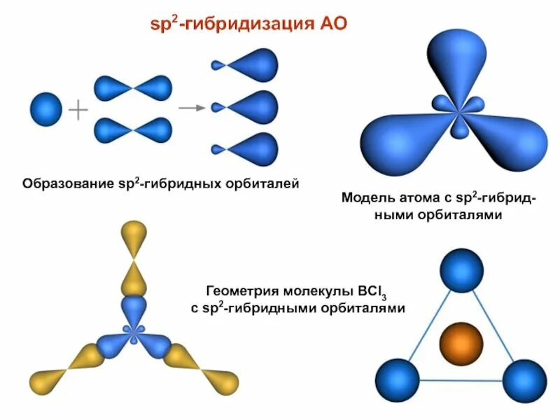 Sp form