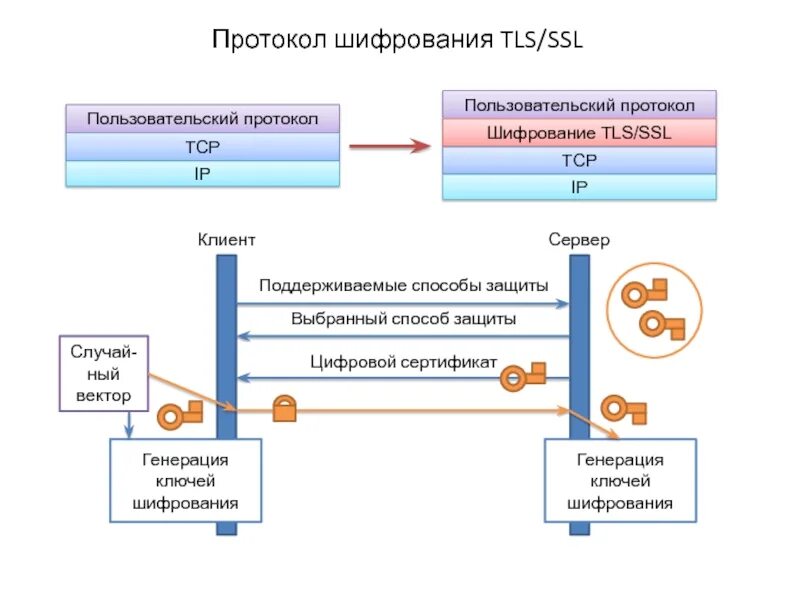 TLS шифрование. Протоколы SSL И TLS. Протоколы шифрования данных. Протокола шифрования SSL. Протокол без шифрования