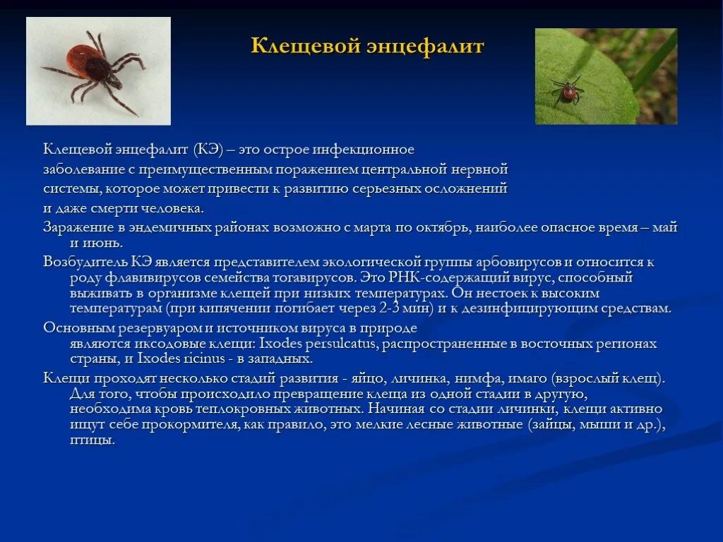 Энцефалит как заболевают. Инфекционные заболевания нервной системы клещевой энцефалит. Сыпной энцефалит клещевой. Клещевые инфекции клещевой энцефалит. Клещевого вирусного энцефалита возбудитель инфекции-.