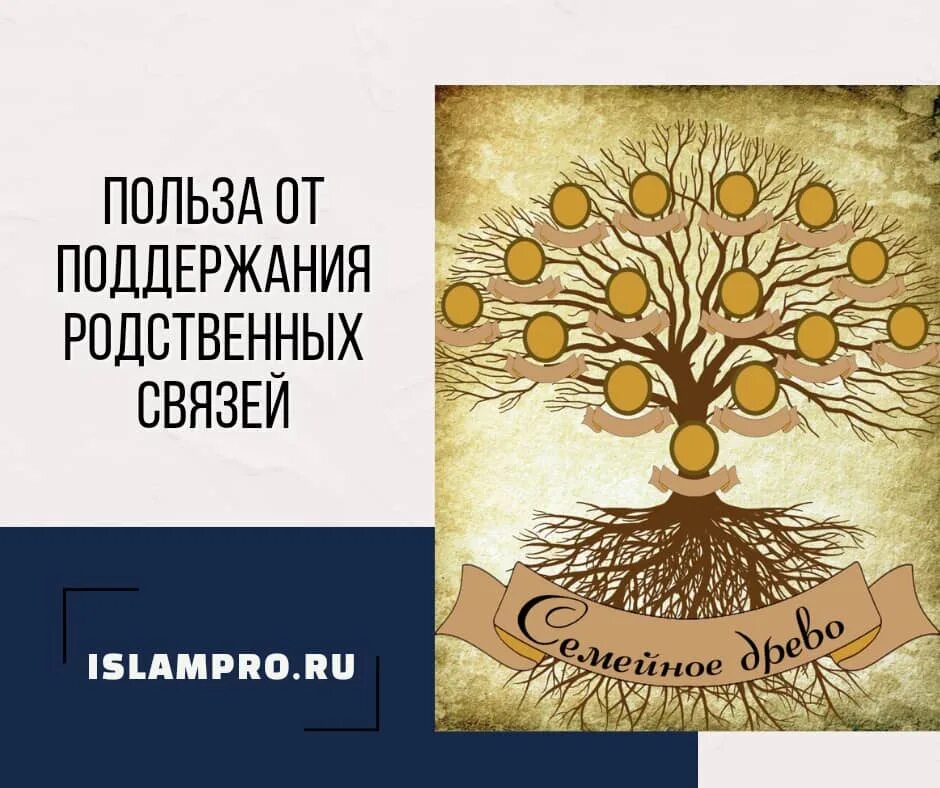 Родственная связь слов. Поддержание родственных связей. О родственных связях в Исламе. Коран про родственные связи. Про родственные отношения в Коране.