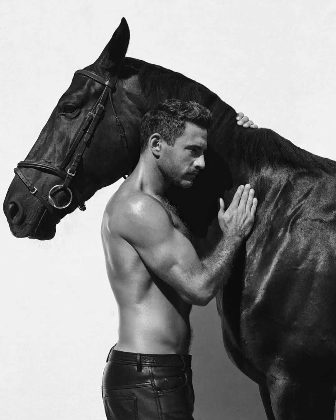 Саша Лазарева Black Horse. Парень на коне. Мужчина на лошади. Мужчина на коне.