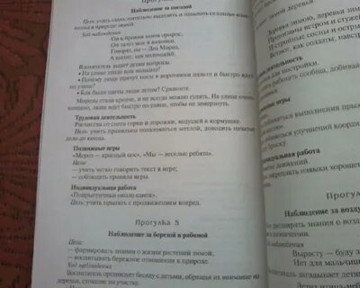 Прогулка в старшей группе кравченко