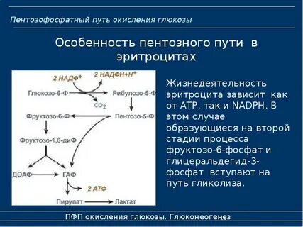 Путь реакции