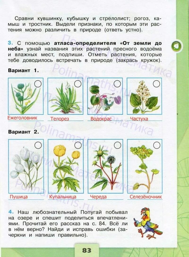 Окружающий 3 класс 2 часть страница 75. Окружающий мир рабочая тетрадь 4 класс 1 часть Плешаков Плешакова. Окружающий мир 4 класс рабочая тетрадь 1 часть Плешаков стр 75. Рабочая тетрадь Плешаков 4 класс 1 часть. Окружающий мир 4 класс 1 часть рабочая тетрадь ответы стр 75 Плешаков.